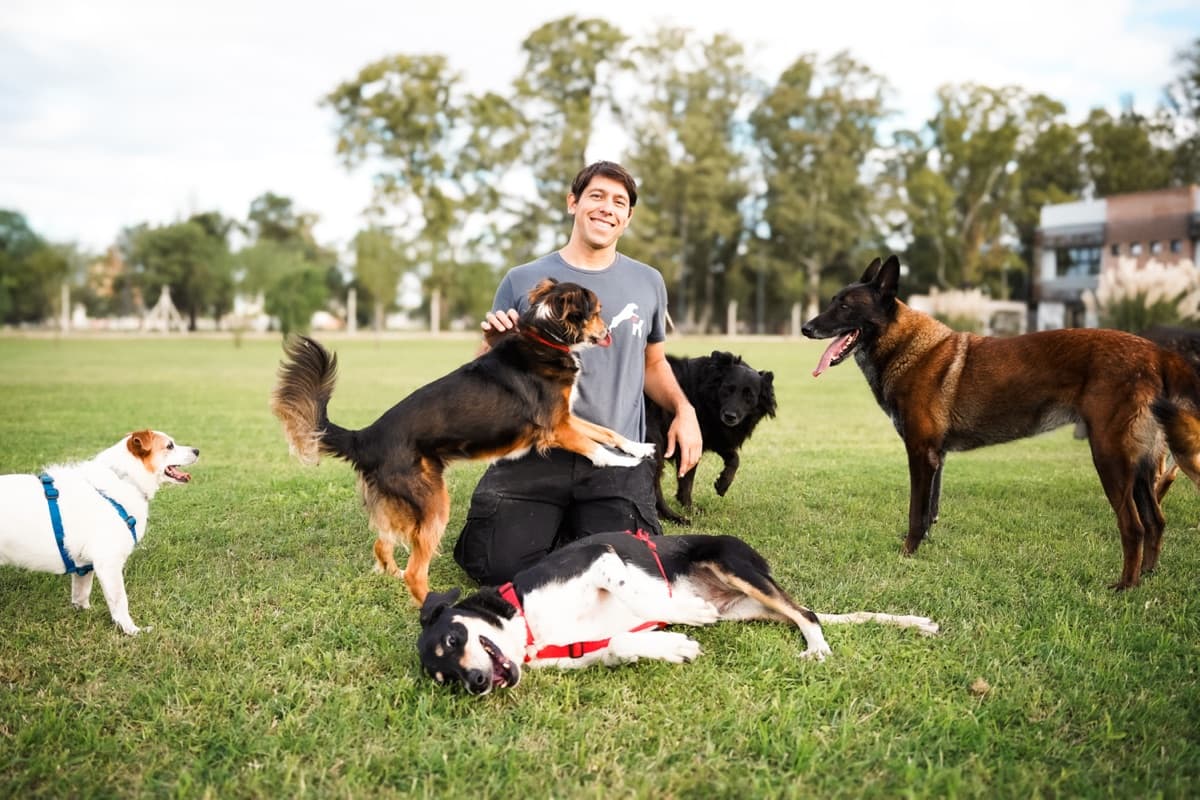 Germán rodeado de perros en un parque